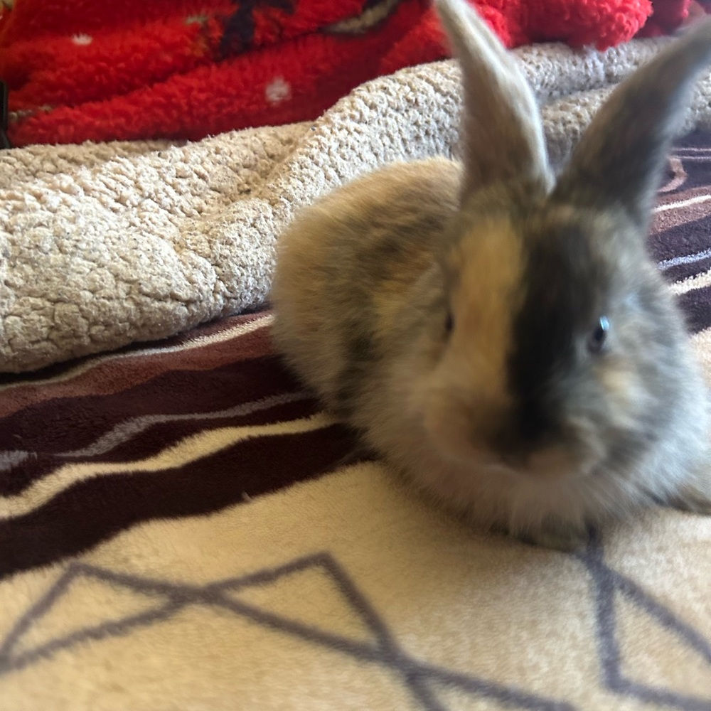 Meet your Posher, Margarita